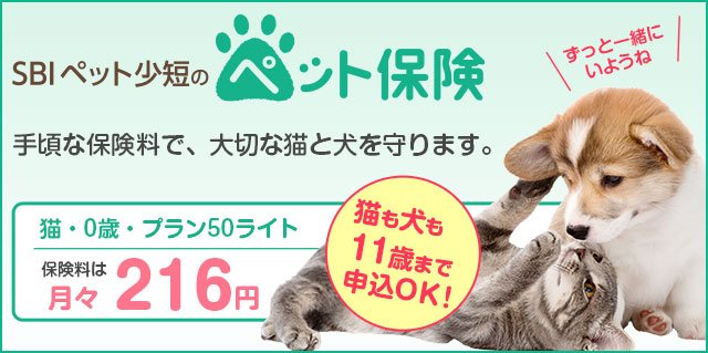 SBIペット少短のペット保険 手ごろな保険料で、大切な猫と犬を守ります。 猫・0歳プラン50ライト 保険料は月々216円! 猫も犬も11歳まで申込OK! ずっと一緒にいようね